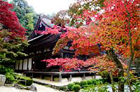 Kongorinji Temple